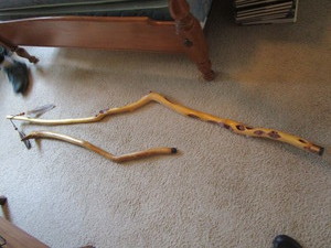 Walking Sticks