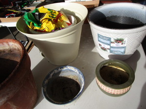 Planters, Blower, Miracle Grow