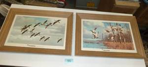 Excellent condition Federal Ammunition Cardboard pictures