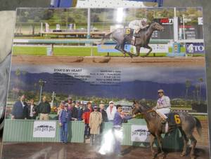 Framed horse racing pictures