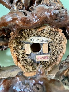lot 181 image: Burled Wood Bird House