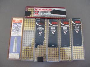 lot 6 image: 22 Caliber Cartridges
