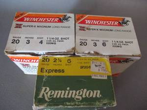 lot 15 image: 20 Gauge Shotgun Shells