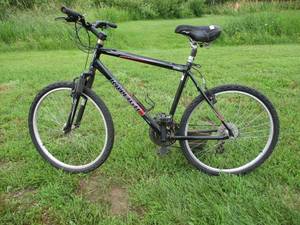 lot 27 image: Raleigh Mojave 2.0 Bike