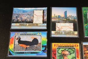 lot 85 image: 2021 Goodwin Champions World Traveler Relic & Feathered Creatures Patch Lot  7 Cards