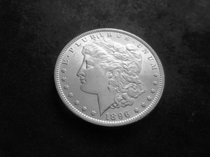 1896 Morgan Silver Dollar