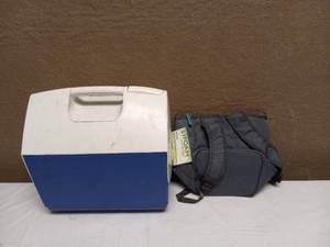 lot 110 image: (2) COOLERS