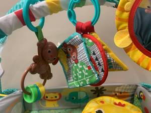 lot 245 image: Baby Jungle Gym