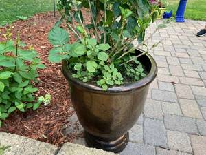 lot 137 image: 3 pots - Small Medium Large