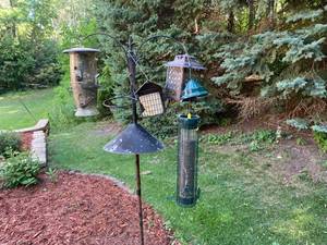 lot 145 image: 4 Bird Feeders and Bird Seed