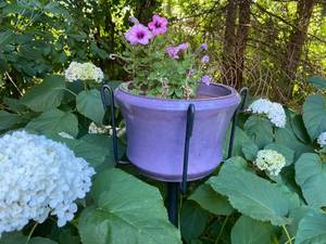 lot 138 image: Plant Holders and Display