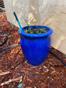 lot 141 image: 4 Blue Ceramic Pots