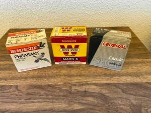 Shotgun Ammo