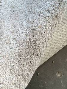 Carpet Remnant Roll 12ft x 11� 6�