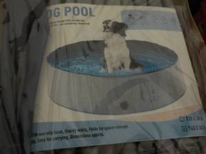 Dog Pool...