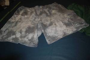 Mens Shorts