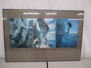 Framed Art. Photographs by Craig Blacklock