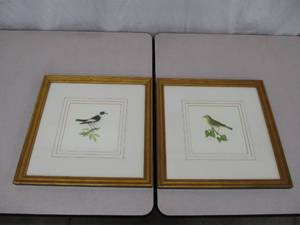 Set of 2 Framed and Matted Prints of Birds