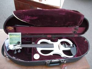 Ammoon Violin in&nbsp Bobelock Case &amp Accessories.