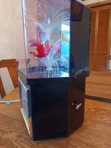 lot 151 image: Large Lighted Music Box Centerpiece with Built-in Clock, Clock Not Working, Plays Rain Drops Keep Falling on My Head