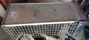 lot 247 image: Havahart Small Live Animal Trap