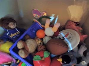 lot 298 image: Lot of Plush Toys, Assorted Balls, Frisbee, Toy Story Character, and a Lot More