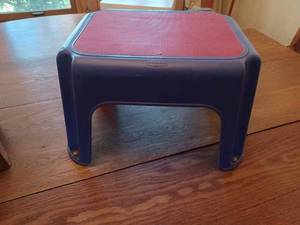 lot 300 image: Wooden Step with Lift-up Top and Storage, 8-inches tall by 7.5-inches wide by 12-inches long and a Plastic Step