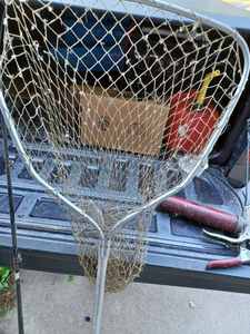 lot 427 image: Four Rods and Reels One Shakespeare Wonderpole, Telescoping Rod, Landing Net, and a Stearns Floatable Cushion