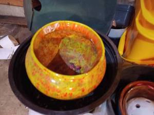 lot 464 image: Two Horse Shoes, Unique Rocks, Clay Flower Pots, Planters, and Potting Soil in the Planters and Pots
