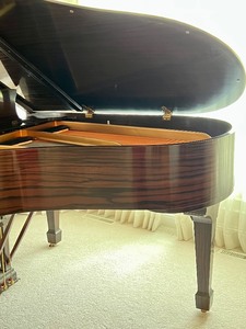 lot 2 image: Gorgeous Macassar Ebony Exotic Wood Finish Steinway M Grand Piano