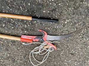 lot 156 image: 12 Foot Wood Handled Dorcy Tree Trimmer