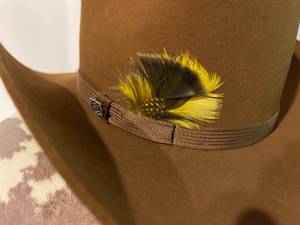lot 227 image: Resistol Self Comforting Cowboy Hat