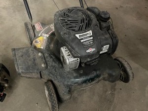 lot 31 image: 21 Mower & Weed Whip