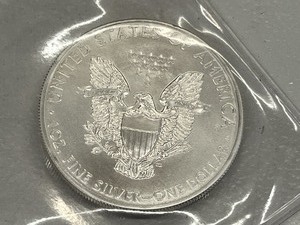 2015 Silver Eagle 1oz .999 Fine Silver