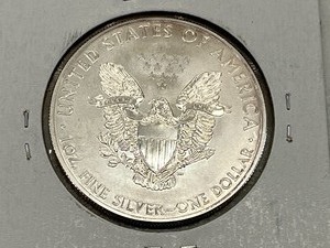 2013 .999-Fine 1oz Silver Eagle Coin