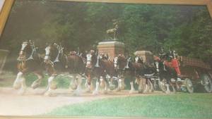 lot 395 image: Clydesdales Budweiser Photo