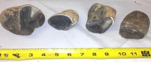 lot 527 image: Split Rocks With Fossils