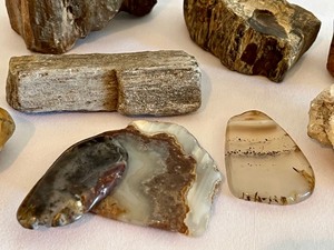 lot 324 image: Petrified Wood, Quart and Polished Rocks