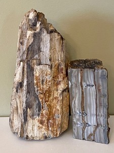lot 380 image: Petrified Wood Pieces