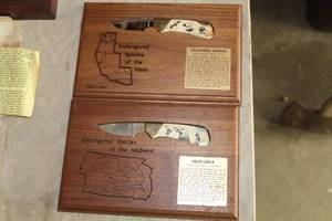 lot 632 image: Lot of (2) Bald Eagle, California Condor Collectible Knives