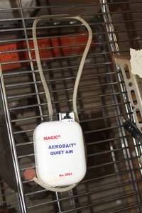 lot 683 image: Magic Products Aerobait Quiet Air Bait Tank Aerator