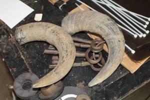 lot 756 image: Lot of (2) 9 Horns