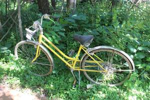 lot 804 image: Schwinn Womens Street Bike 24 Yellow Frame