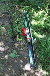 lot 806 image: Lot of (7) Ski Equipment - Scott Poles (x4), Kastle Skis (x2), Ski Grabber (x1)