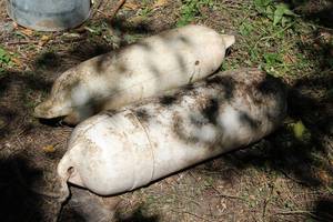 lot 810 image: Lot of (2) Tailormade Boat Buoys