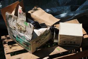 lot 815 image: Electronic Yard Guard System (in box)