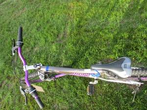 lot 44 image: Genesis Bike