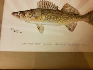 lot 58 image: Walley print