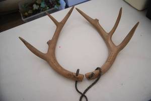 Game Tracker deer antlers...