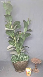 lot 172 image: Beautiful Faux Plant, Buzzy Sunflower Grow Kit, & Bird Feeder Y
